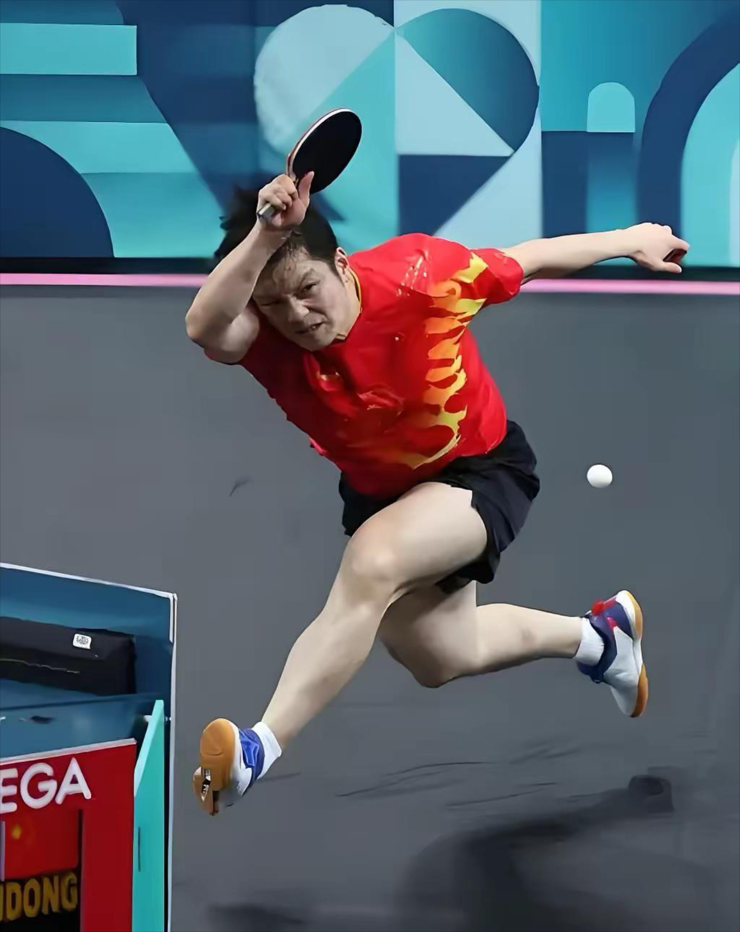 今夜澳网前瞻：樊振东伤情更新，广厦男篮冲击逆转纪录的简单介绍